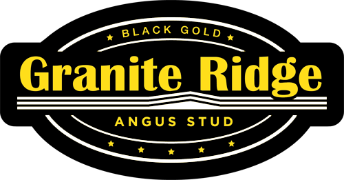 gr-logo-500-white-2 Granite Ridge Angus Stud - Rock Solid Genetics