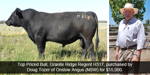 Top priced bull, Granite Ridge Regent H317