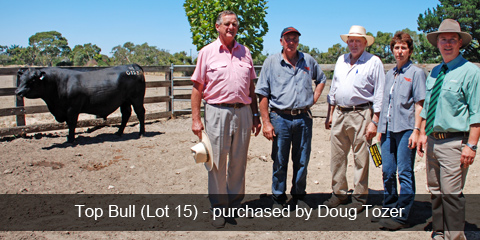 Top priced bull purchased by Doug Tozer