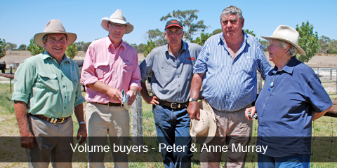 Volume buyers - Peter & Anne Murray