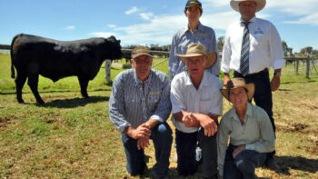 2016 Top Price Bull at Granite Ridge Angus Sale